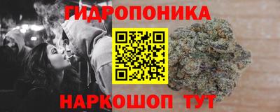 МДПВ Партизанск