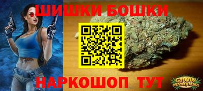 МДПВ Партизанск