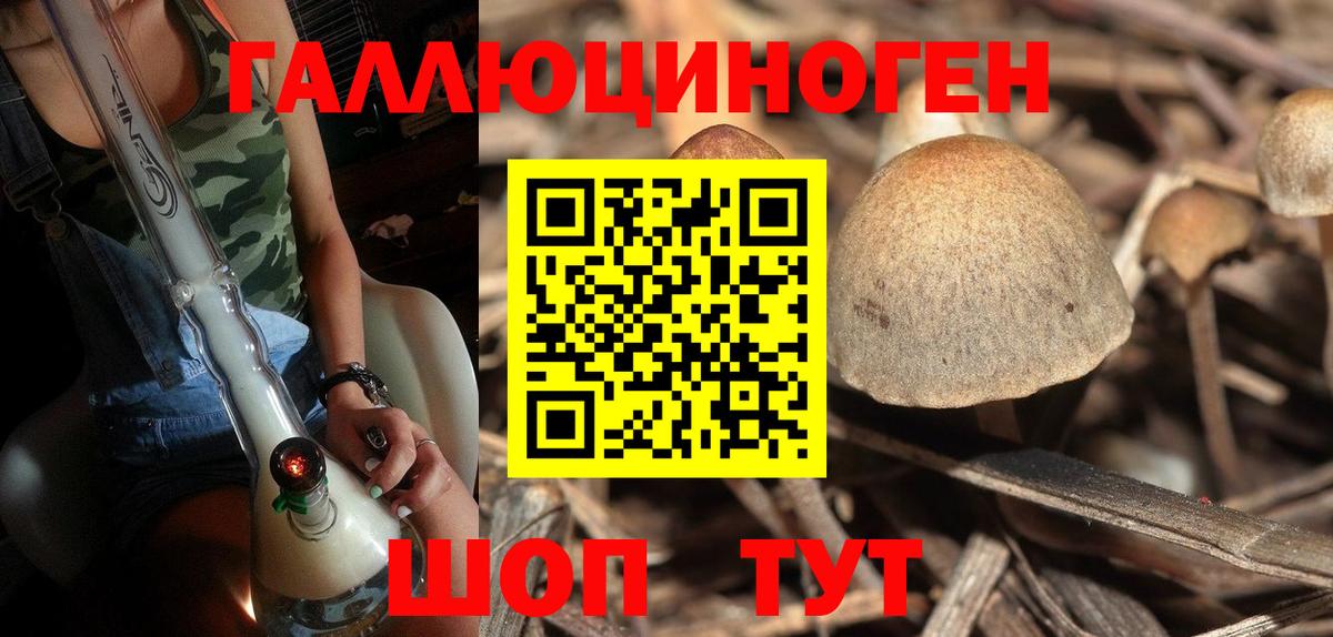 Бутурлиновка  Псилоцибиновые грибы Psilocybine cubensis  Вход с VPN 
